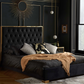 Carys Bed BLACK+Luxury Gold Trim - Nimbus Beds